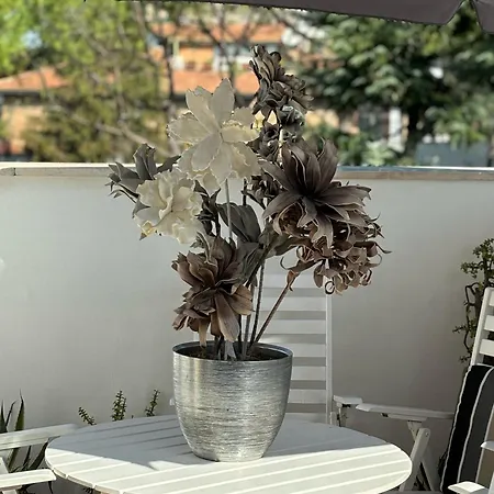 Apartamento Vatican Penthouse *
