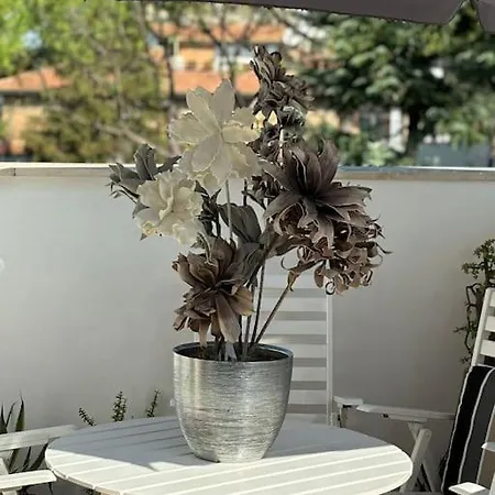 Apartment Vatican Penthouse